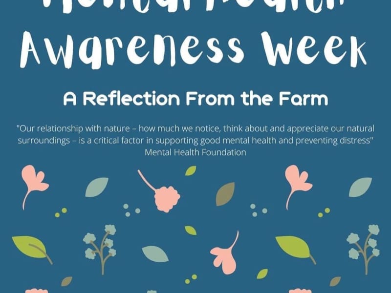 Mental Health Awareness Week, A reflection from the farm.